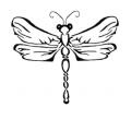 Dargonfly's Avatar