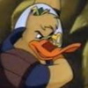 Duck's Avatar