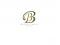 Belmontebikes's Avatar