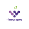 ninegrapes's Avatar