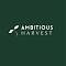 AmbitiousHarvest's Avatar