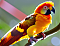 birdsdetails1's Avatar