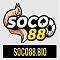 soco88bio's Avatar
