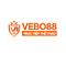 vebotvcam's Avatar