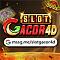 slotgacor4d's Avatar