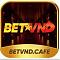 betvndcafe's Avatar
