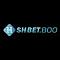 shbetkrugercoin's Avatar