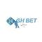 shbetinstitute's Avatar
