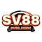 sv88irish's Avatar