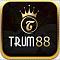 trum88org's Avatar