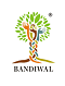 bandiwal's Avatar